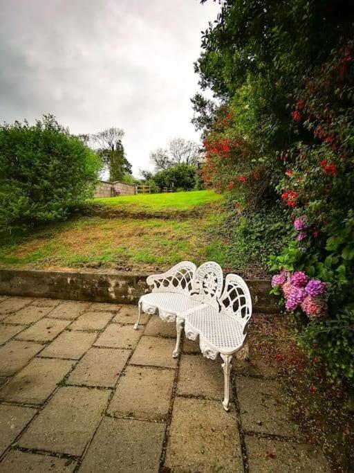 Orchard Cottage دينغل المظهر الخارجي الصورة